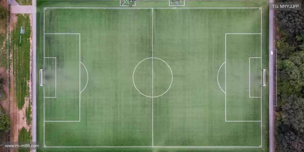 🎯精准数据,深度解析赛事背后的故事!